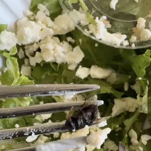 salads