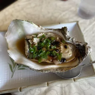 Massive steamed oyster!