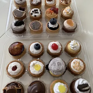 a variety of cupcakes in a plastic container