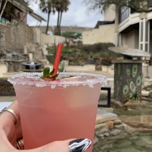 Prickly pear margarita on the rocks with sugar rim