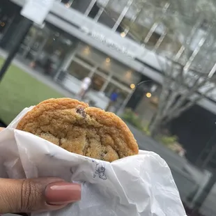 Delicious chocolate chip cookie