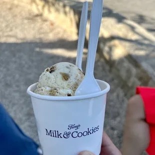 Milk and cookies 2 scoops