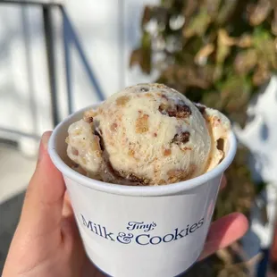 Milk &amp; Cookies Ice Cream