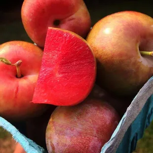 Organic Flavor Supreme Pluots grown at the Tiny&apos;s farm.