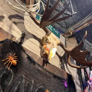 a fake moose head with antlers