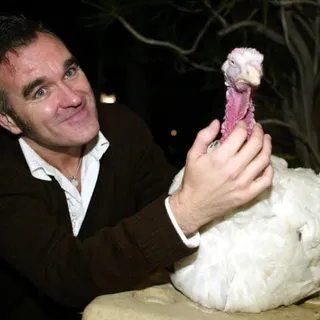 Jay M.