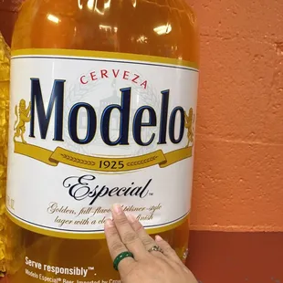 Modelo #justmysize #daytimedrinking