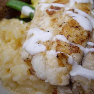 Tilapia