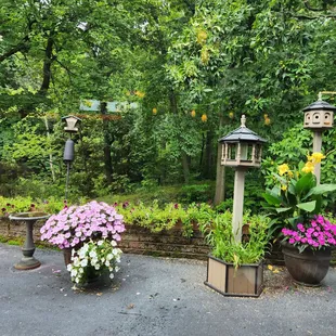 birdhouses and flowers