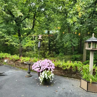 a garden with flowers