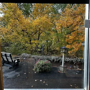 The view out the window