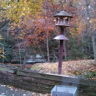 View from dining room