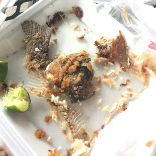 So the Pescado/Fish was delish!