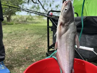 Choke Canyon State Park and Reservoir