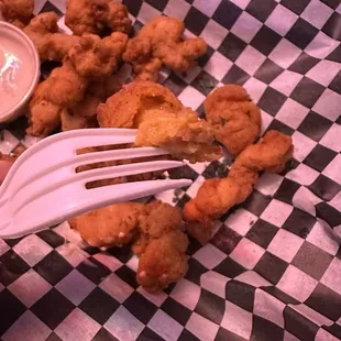 Gator Bites