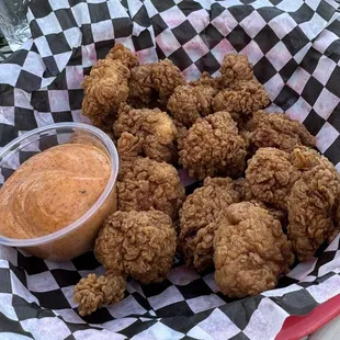 Alligator bites