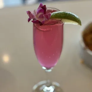 Prickly pear mimosa