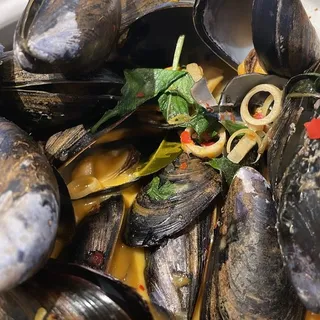 Steam Mussels