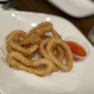 Calamari for appetizer