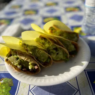 This taco shop is amazing! I recommend all the meats!