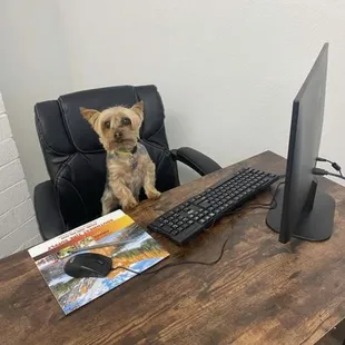 We are pet friendly!