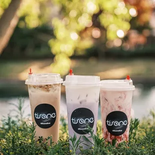 Pink volcano, Taro, and Gram Brulee!