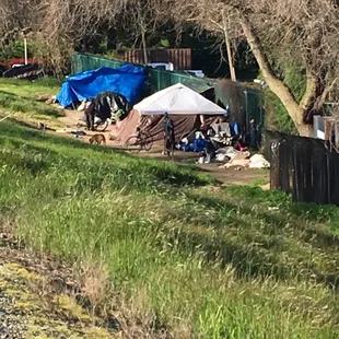 Tiscornia Park and Bike Trail Homeless Encampment with pit bulls and piles of trash