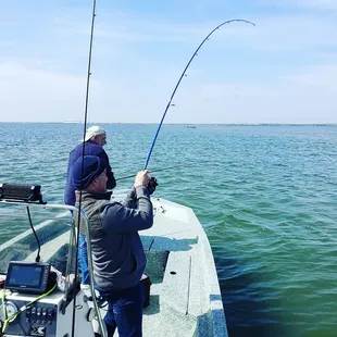 I love it when it bends