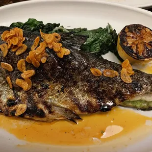 Grilled Trout