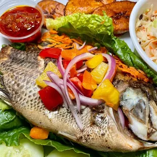 Tilapia Fish Meal