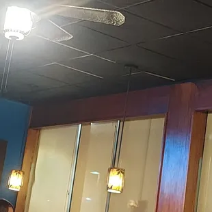 Well cleanliness is not a priority!! Ewwwww