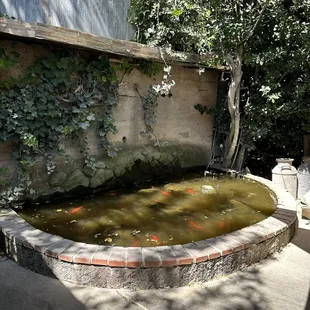 Outside patio with nice little pond