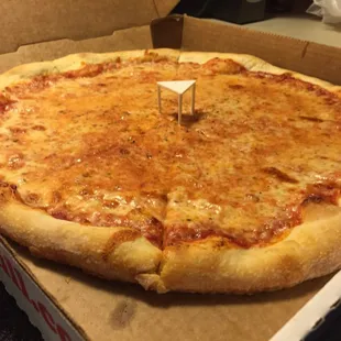 Cheese Pizza!