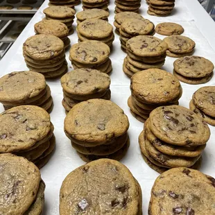 rows of chocolate chip cookies
