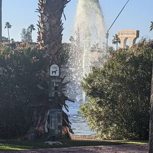 Fountain next to the outdoor patio.