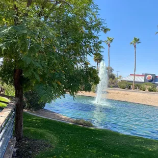 View from brunch