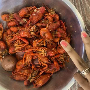 Boiled Crawfish