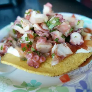 Octopus Tostada