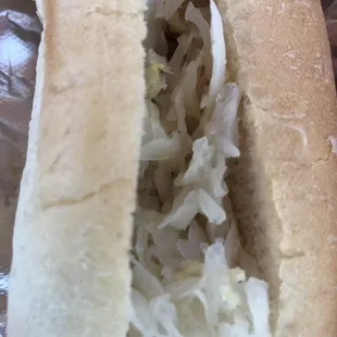 New York dog