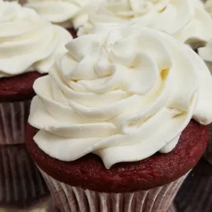red velvet cupcakes with white frosting