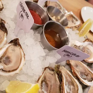 a platter of oysters