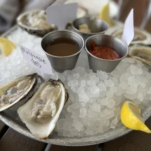 Dozen on the Halfshell (*) - Half Dozen