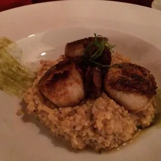 Scallops