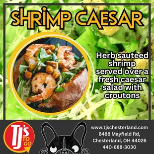 Shrimp Caesar Salad
