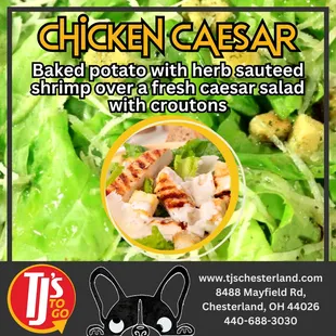 Chicken Caesar Salad