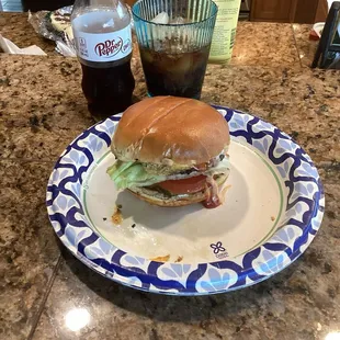 My delicious burger (leftover) heated up the next day