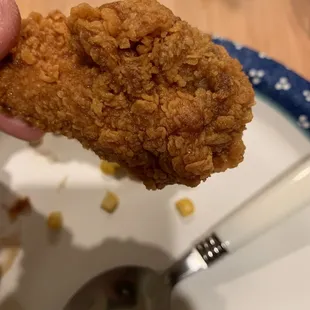 a hand holding a piece of fried chicken
