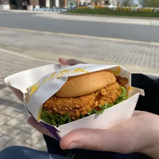 Spicy chicken sandwich combo. Not very spicy