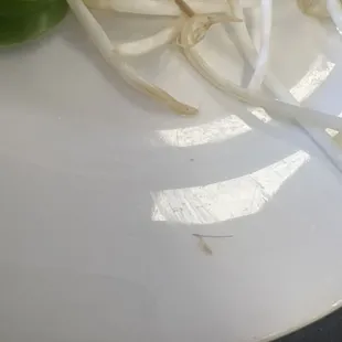 HAIR FOUND IN PHO