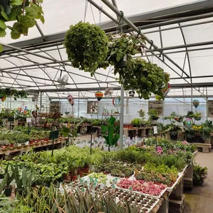 TLC Garden Centers